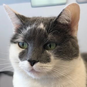 Meet your Posher, Fernanda